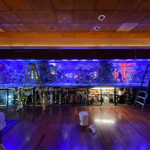 Large commercial aquarium shown during on-site work