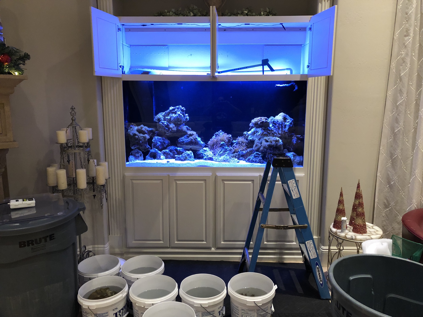 Aquarium maintenance in progress at a built-in reef display